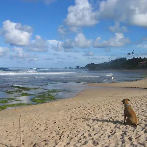 Inn Round House, Bathsheba
